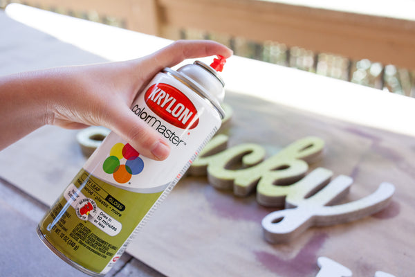 Krylon ColorMaster